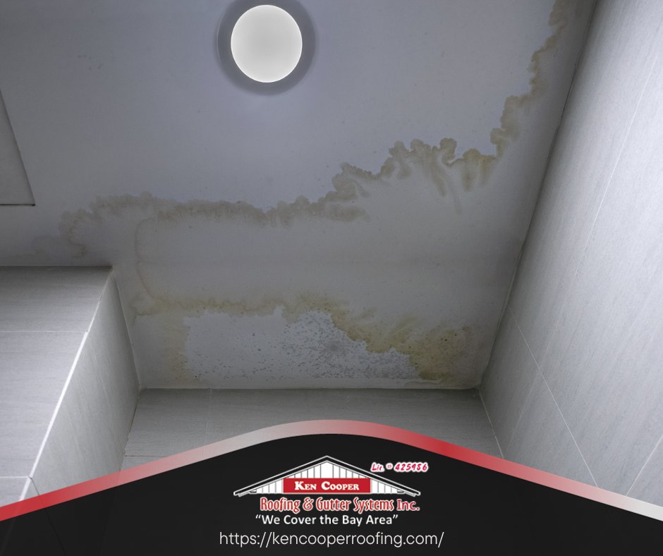 kcooperroofing's tweet image. 🏠🔍 Is It Time to Call Ken Cooper Roofing? Top 3 Signs: 🔍🏠
1️⃣ Roof over 20 years old
2️⃣ Visible damage like missing shingles
3️⃣ Leaks or water stains inside
📞 Spot these? Dial (415) 446-5500 for expert roofing solutions!
#RoofCheck #KenCooperRoofing #HomeCare