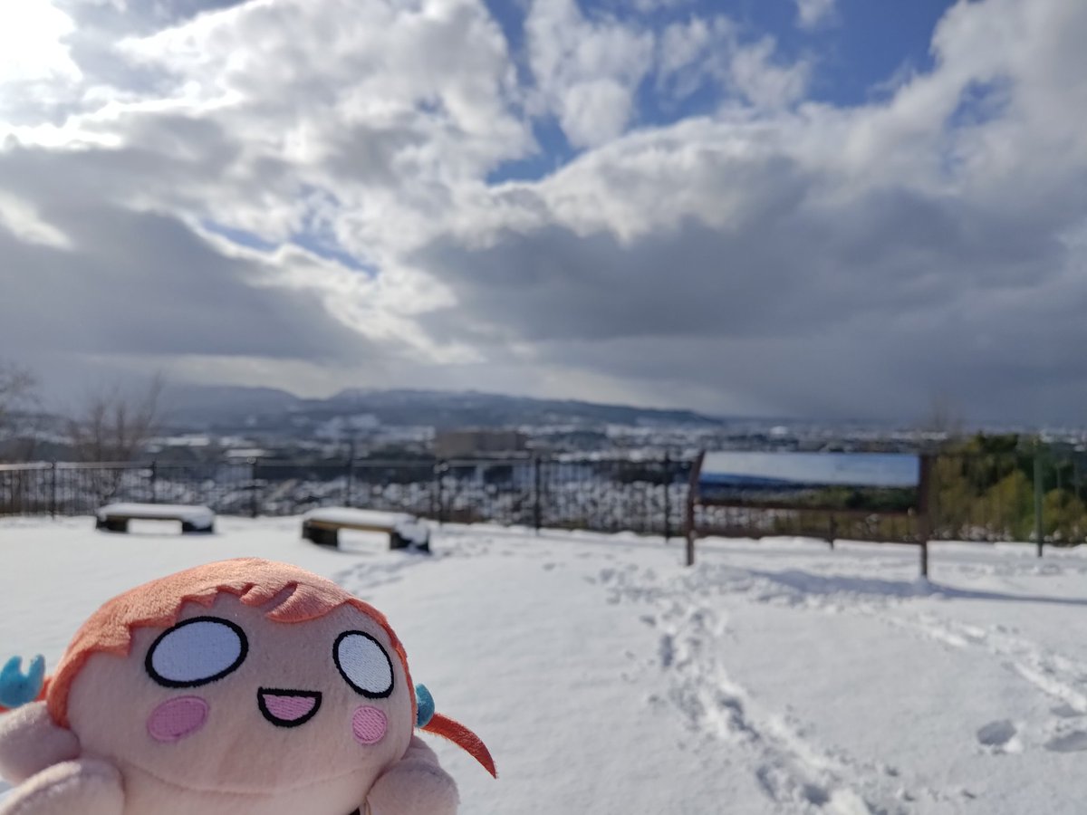 moon_32's tweet photo. 卯辰山公園の見晴らし台で雪遊びしてたら、少し離れた隙に犬の散歩してた方が無言で椿の花をさしてくださった！何者？？？ https://t.co/5VgfW4Eou9