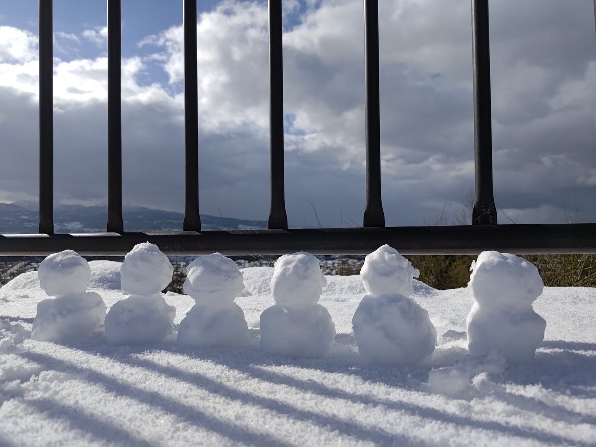 moon_32's tweet photo. 卯辰山公園の見晴らし台で雪遊びしてたら、少し離れた隙に犬の散歩してた方が無言で椿の花をさしてくださった！何者？？？ https://t.co/5VgfW4Eou9