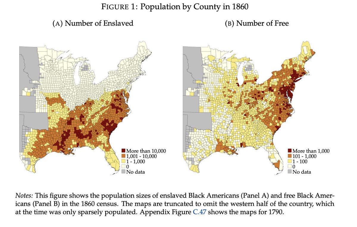 John B. Holbein tweet media