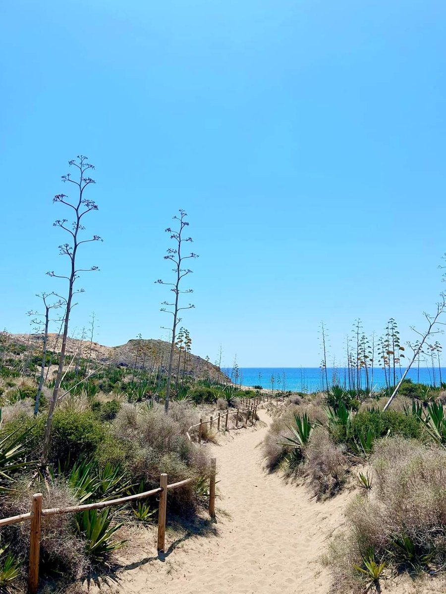 Antonio Manuel González tweet media