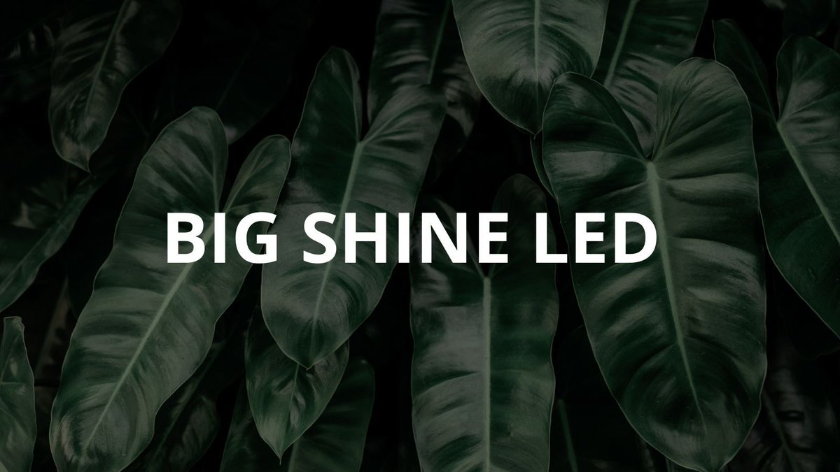 BigShineLED's tweet image. 🚀 Bright Beginnings, Brighter Future: Big Shine LED, has been a trailblazer in LED technology. Join us in celebrating our history of brilliance and commitment to shaping a sustainable, illuminated world. ✨💚 #BigShineLegacy #LEDInnovation #Sustainability
