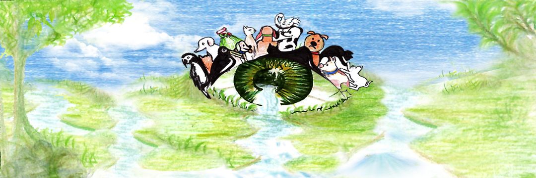 goblen_eth's tweet image. @WildEyesnft  FAM