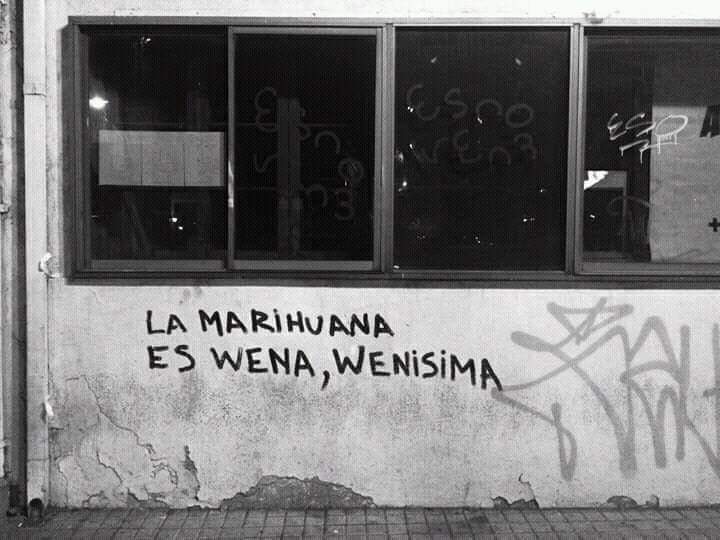 Charly Grown (@charlygrown) on Twitter photo 