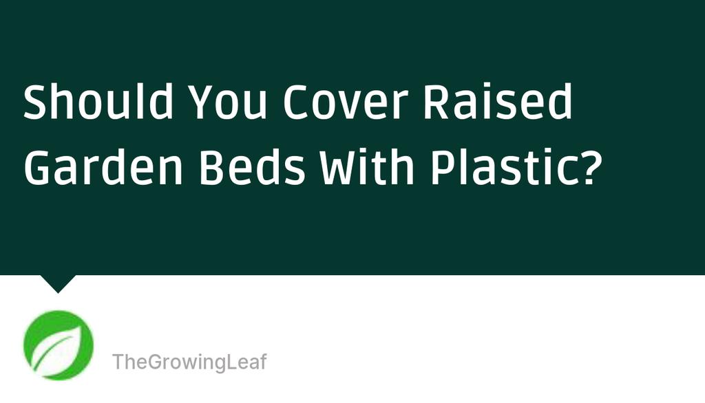 LeafGrowing's tweet image. So, while covering up your raised garden beds can be incredibly practical, there are still some unwanted side effects that you’ll need to prevent.

Read more 👉 lttr.ai/AMlV1

#GardenDecisions #GardenProtection #GardenPlastic #GardenBedIdeas #GardenPreservation