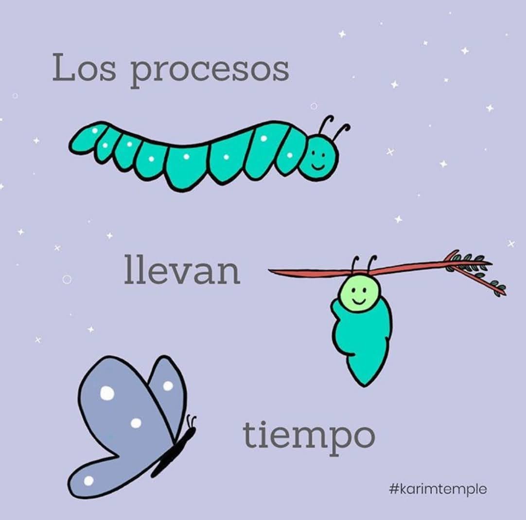 Solo se constante 🤩