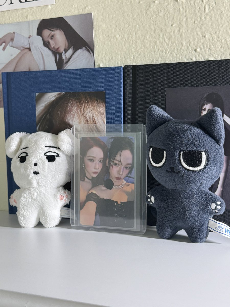 sanairl's tweet photo. my temporary display https://t.co/fe5RoGJHPx
