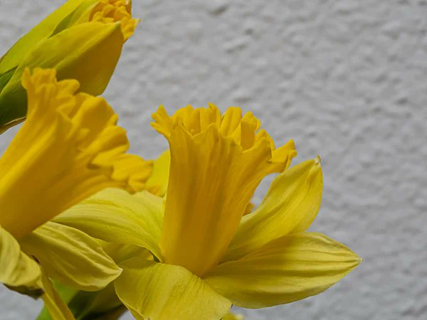 Yeni güne yeni haftaya günaydın🌼🍂🌱sağlıkla huzurla bereketle🌾