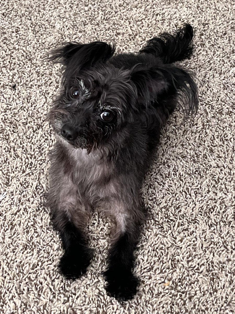 Her eyebrows kill me