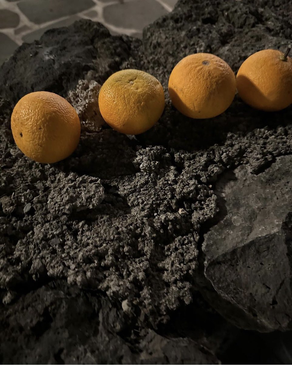 📷] 240105 | t0ninam’s instagram update

🔗 instagram.com/p/C1t0Mx8v07C/…

💬 t0ninam ไปออกรายการกับพี่อูซอก พี่ดงพโยและพี่อึนซังที่เกาะเจจูค่ะ สามารถรับชมได้ที่ YouTube channel : Arcade pang รายการน่ารักมากๆเลยค่ะ

#NAMDOHYON​ #นัมโดฮยอน #남도현​  #ドヒョン #南到賢