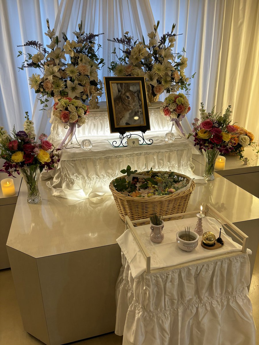 saori_nft's tweet photo. 昨日きなこの葬儀セレモニーをしてきました。最後にたくさんのお花で見送りたくてお花屋さんでたくさん可愛いお花を買えてよかった。明るい優しい色のお花がとても似合ってかわいかったよ🥲もうこの可愛い姿に会えないと思うと苦しくなったけどお骨になっても可愛くてこれから一緒にいられると思うと https://t.co/zVzyvIL9DA