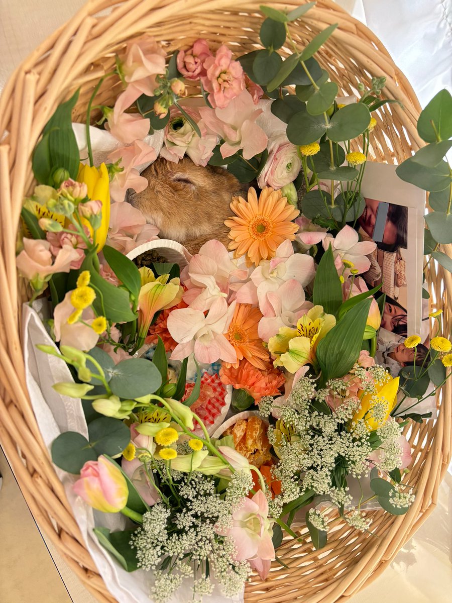 saori_nft's tweet photo. 昨日きなこの葬儀セレモニーをしてきました。最後にたくさんのお花で見送りたくてお花屋さんでたくさん可愛いお花を買えてよかった。明るい優しい色のお花がとても似合ってかわいかったよ🥲もうこの可愛い姿に会えないと思うと苦しくなったけどお骨になっても可愛くてこれから一緒にいられると思うと https://t.co/zVzyvIL9DA