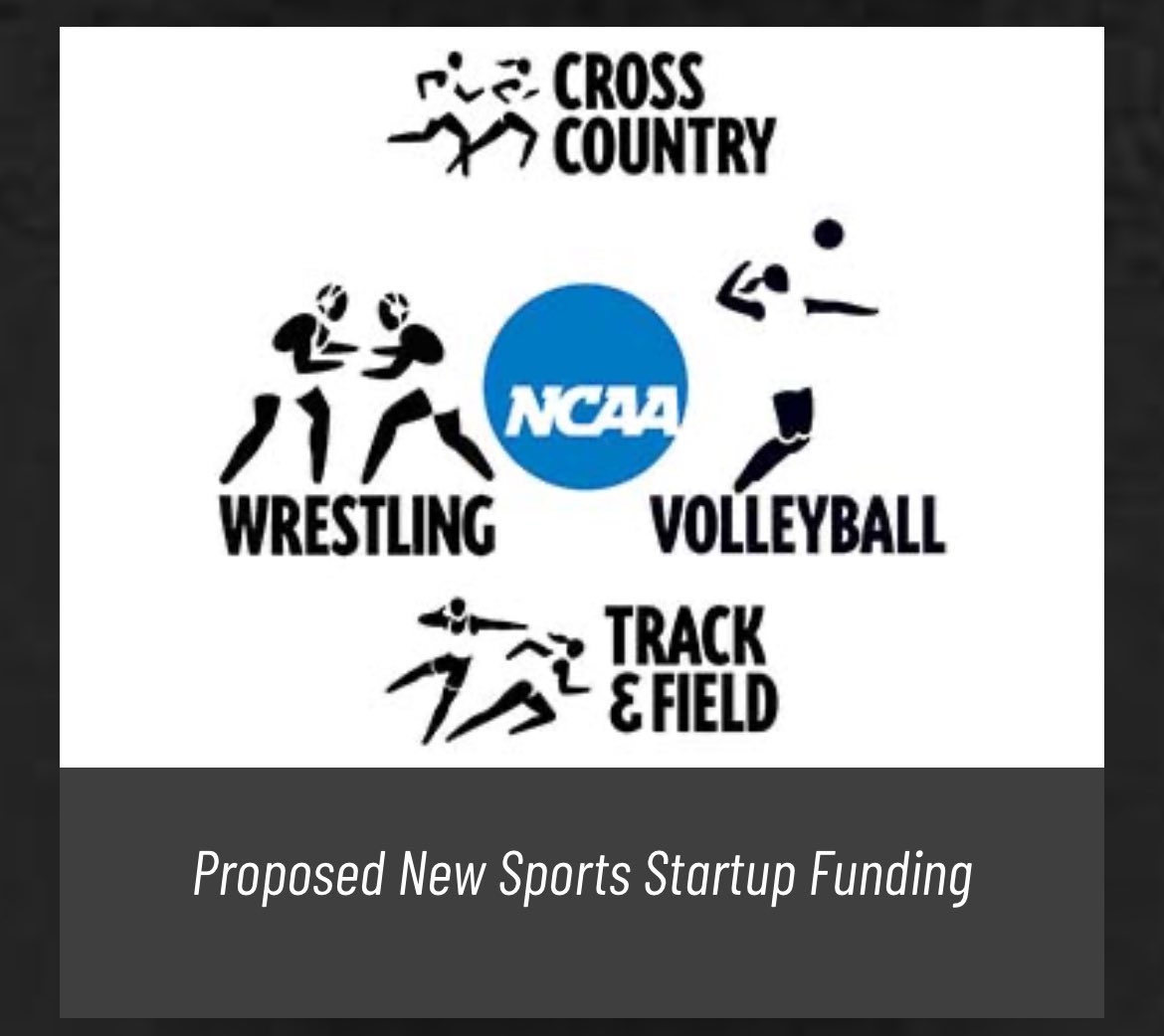 NSU, a D2 school in Tahlequah, Oklahoma currently has a campaign to potentially start a wrestling program along with a few other sports northeasternstateathleticfund.com/campaigns/