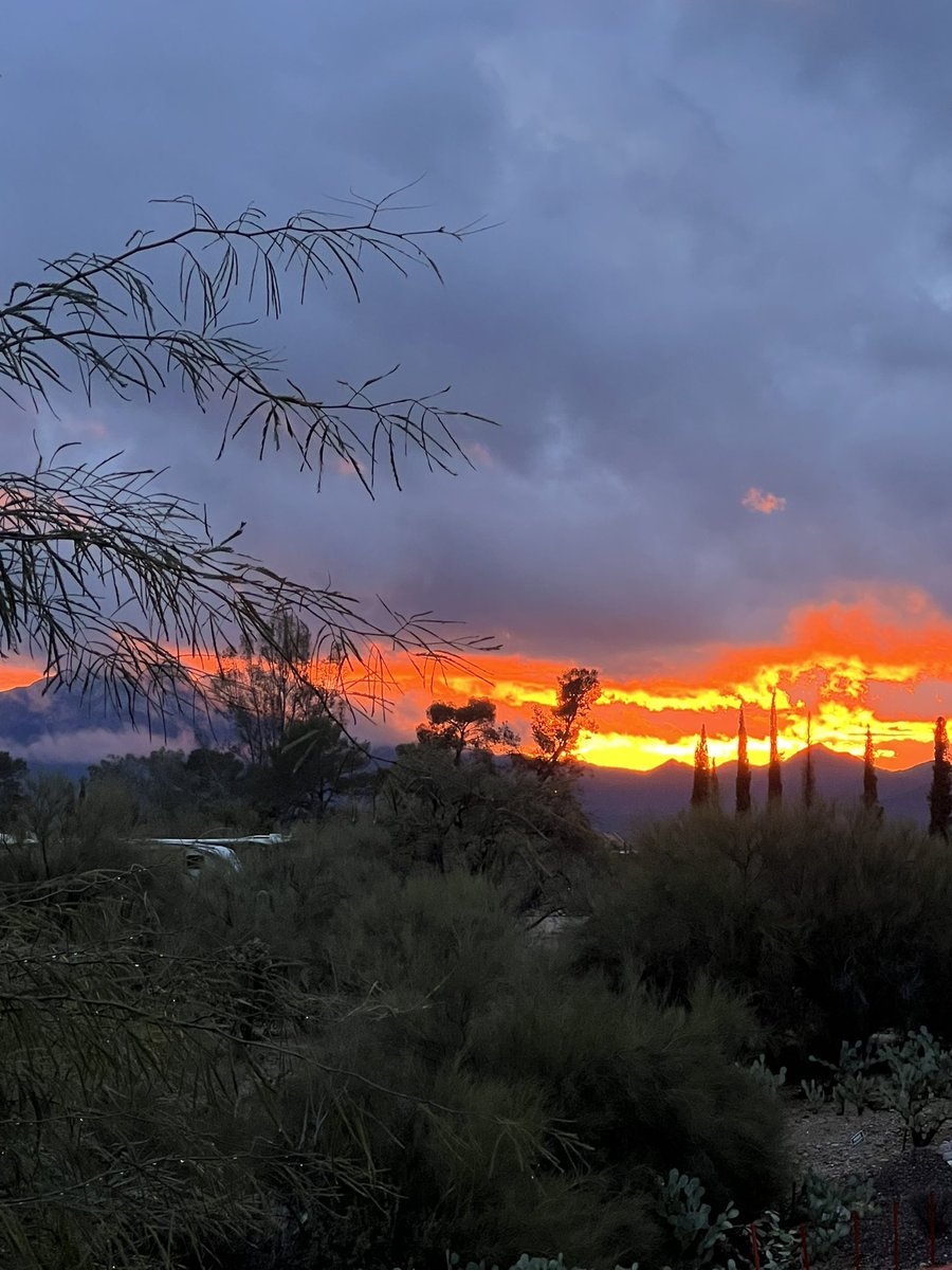 alohawildcat's tweet photo. We saw fire & ice in the skies of Tucson on January 7, 2024 #sunsets #arizonasunsets #arizonasnow #WINTER #ThisIsTucson https://t.co/3eEz5ogmXl