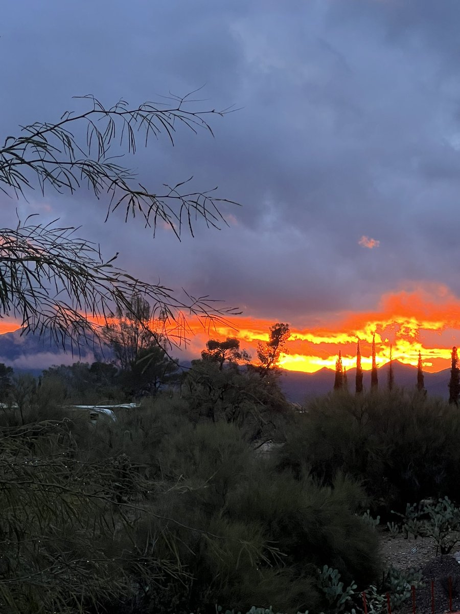 We saw fire & ice in the skies of Tucson on January 7, 2024 #sunsets #arizonasunsets #arizonasnow #WINTER #ThisIsTucson