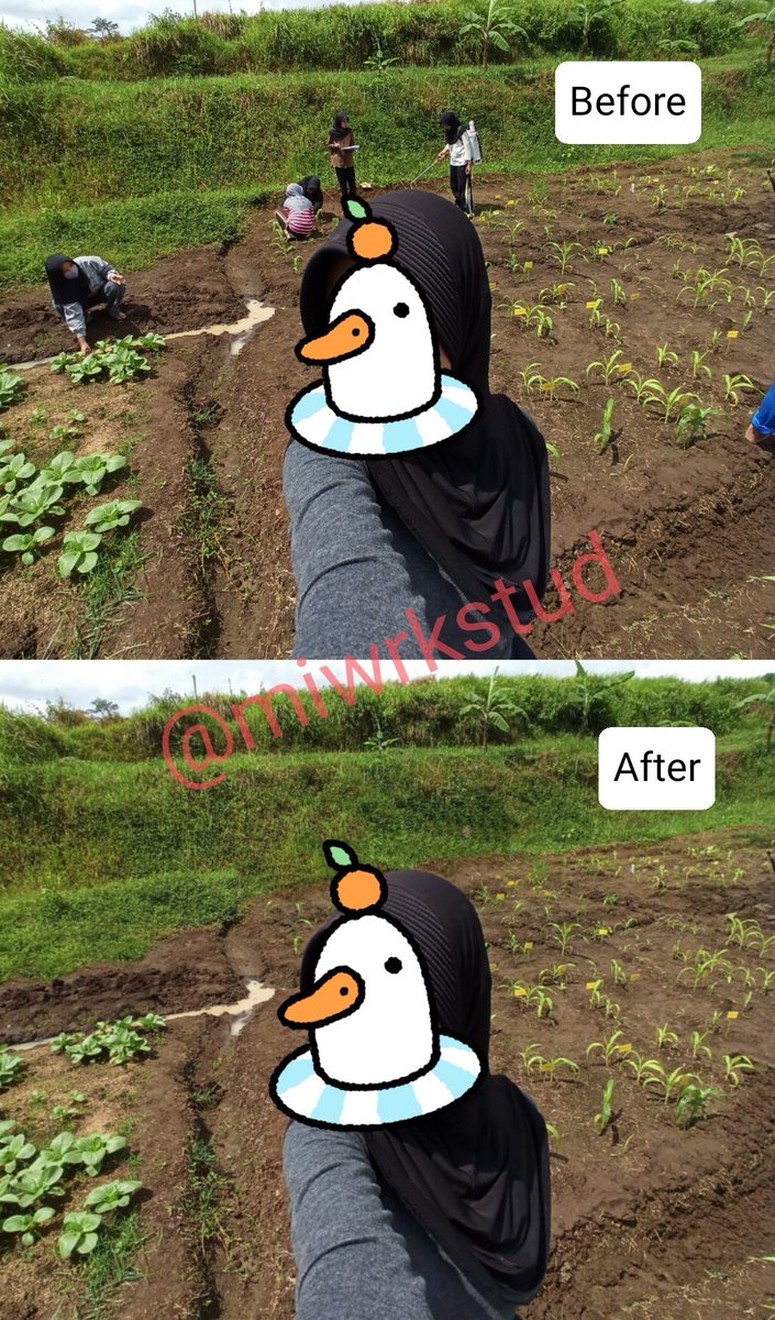 miwrkstud's tweet photo. Siapa yang suka kesel kalo foto tapi ternyata ada aja 'pemandangan' tidak diundang. Tapi tenang, sekarang @miwrkstud open jasa hapus objek di foto nii, bisa langsung WA untuk order yaaa
Contoh 👇👇👇
#zonauang https://t.co/8xnTqVM1yf