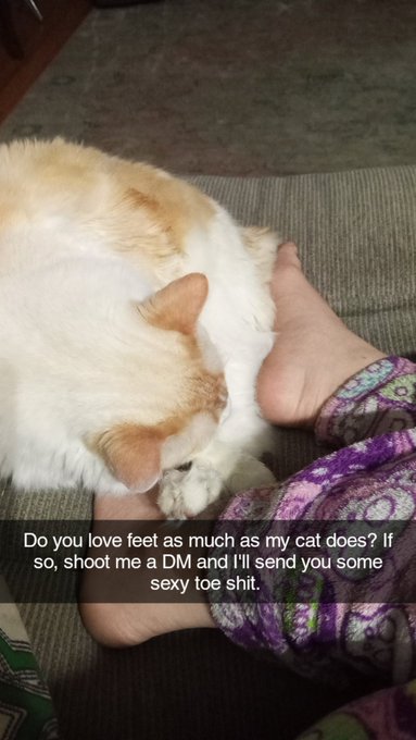 #feet #FOOTFETİSH #footfetısh #toes #feetpics #cats #catsareweird #lol https://t.co/GkcNwEtbU3<a href="/tag/feet"class="tags">#feet</a><a href="/tag/footfeti%CC%87sh"class="tags">#FOOTFETİSH</a><a href="/tag/footfet%C4%B1sh"class="tags">#footfetısh</a><a href="/tag/toes"class="tags">#toes</a><a href="/tag/feetpics"class="tags">#feetpics</a><a href="/tag/lol"class="tags"><span>#lol</span></a><a href="/tag/cats"class="tags"><span>#cats</span></a><a href="/tag/catsareweird"class="tags"><span>#catsareweird</span></a>
