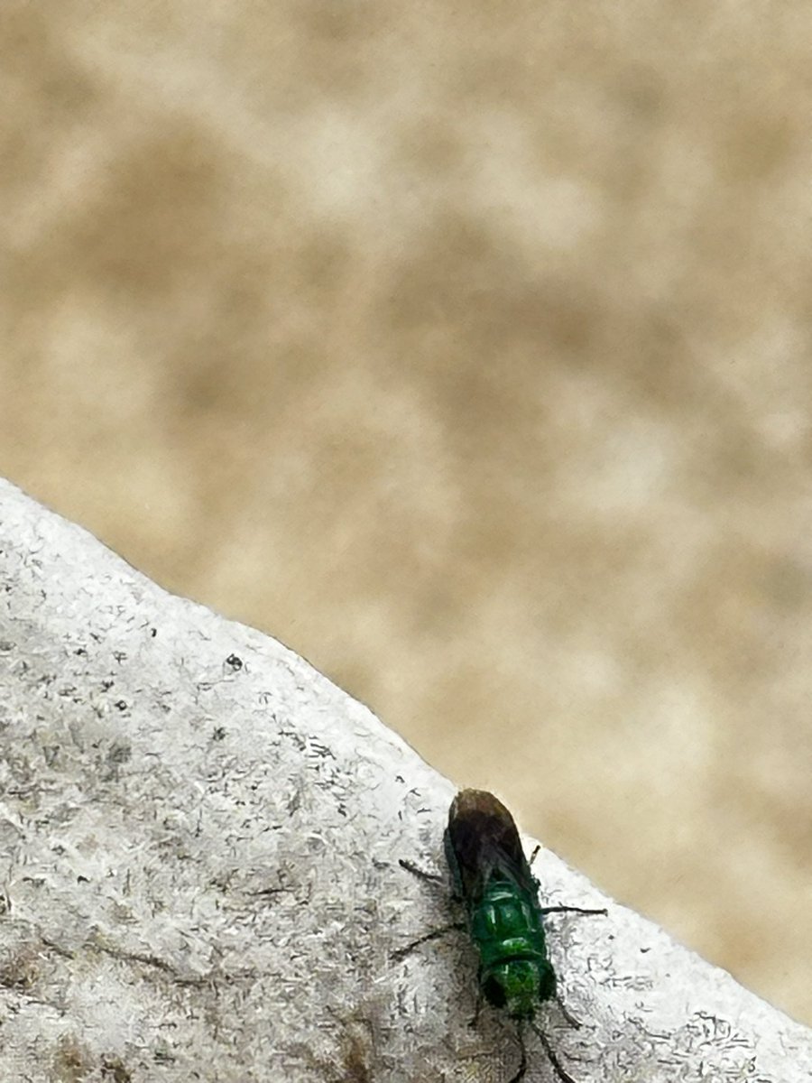 vrundavs's tweet photo. Green is soothing…
#windowstories https://t.co/6izi3bXVXp
