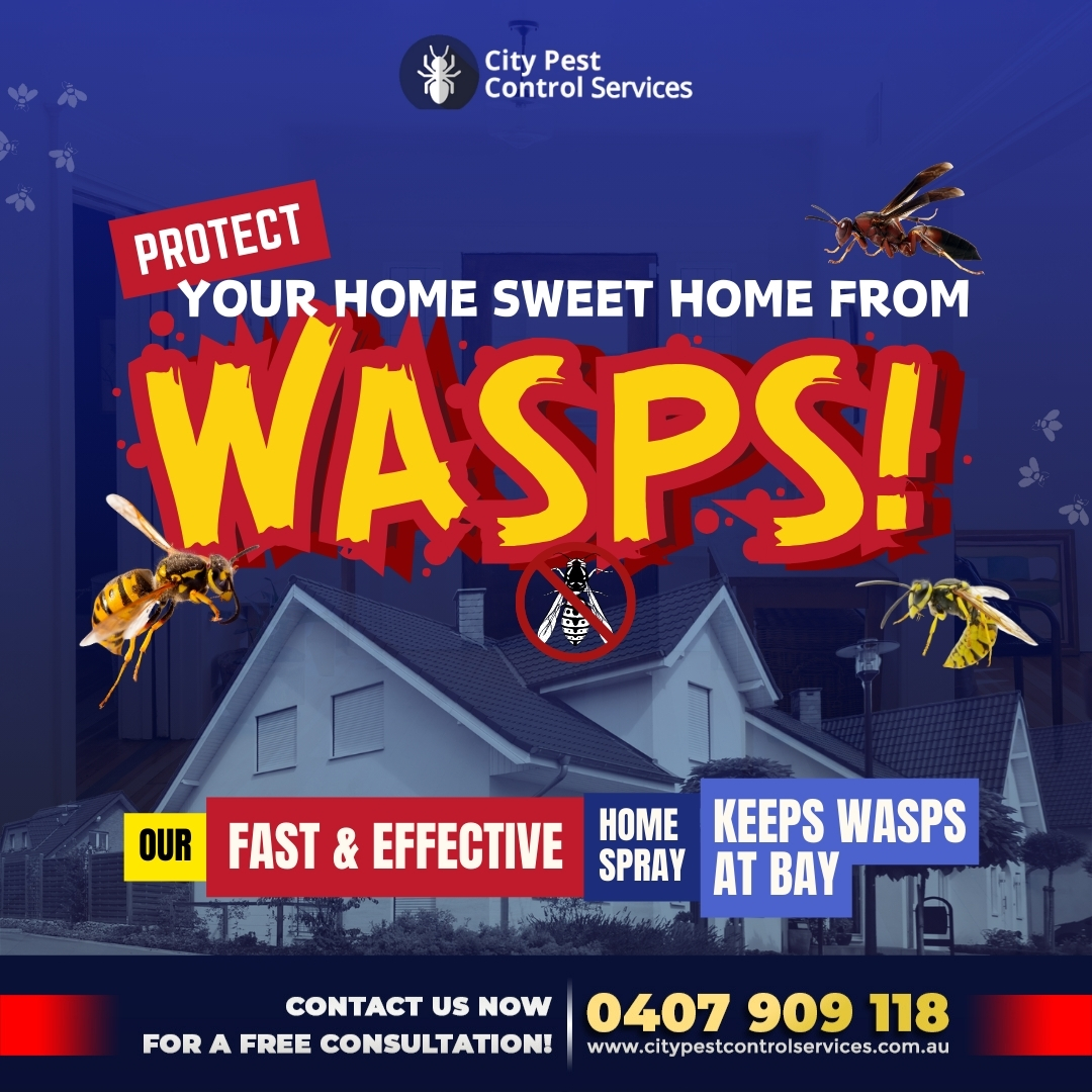 Citypestco's tweet image. Protect your home, garden, and family at once from Wasps - Call us today!😉

𝐂𝐈𝐓𝐘 𝐏𝐄𝐒𝐓 𝐂𝐎𝐍𝐓𝐑𝐎𝐋 𝐒𝐄𝐑𝐕𝐈𝐂𝐄𝐒
☎: 0407909118
📧: info@citypestcontrolservices.com.au
🌎: citypestcontrolservices.com.au/wasps-pest-con…

#waspcontrol #waspremoval #pestcontrol #pestcontrolservice #Canberra
