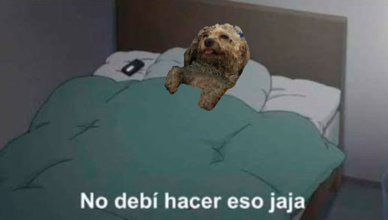 angel_moreirara's tweet photo. @Alexispepillo Jjajajajajajaj hasta yo me reí https://t.co/4iLtIu74oR