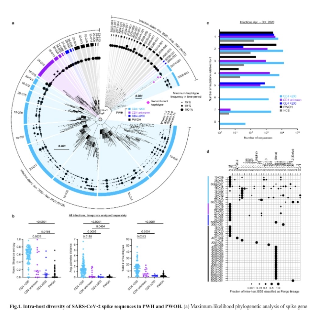 HIV + COVID !
"Rapid Emergence and Evolution of SARS-CoV-2 Variants in Advanced HIV Infection"
biorxiv.org/content/10.110…
"Our findings show remarkable intra-host genetic diversity of SARS-CoV-2 in advanced HIV infection ...