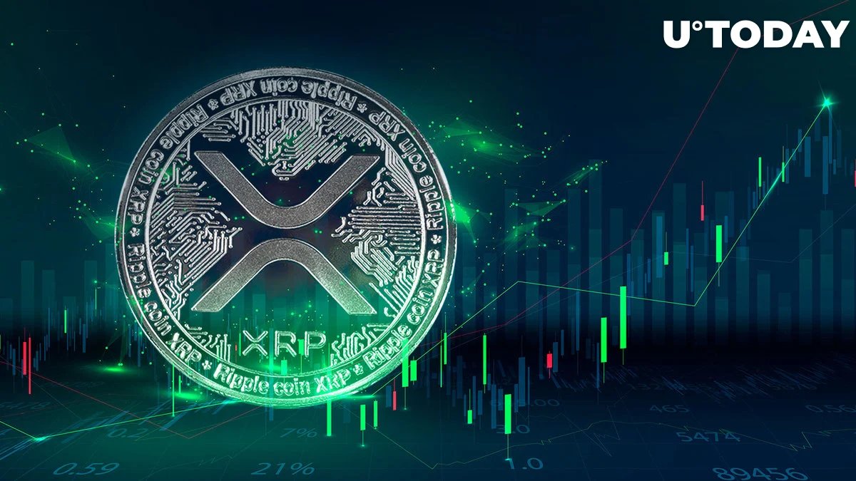 murat türk tweet media