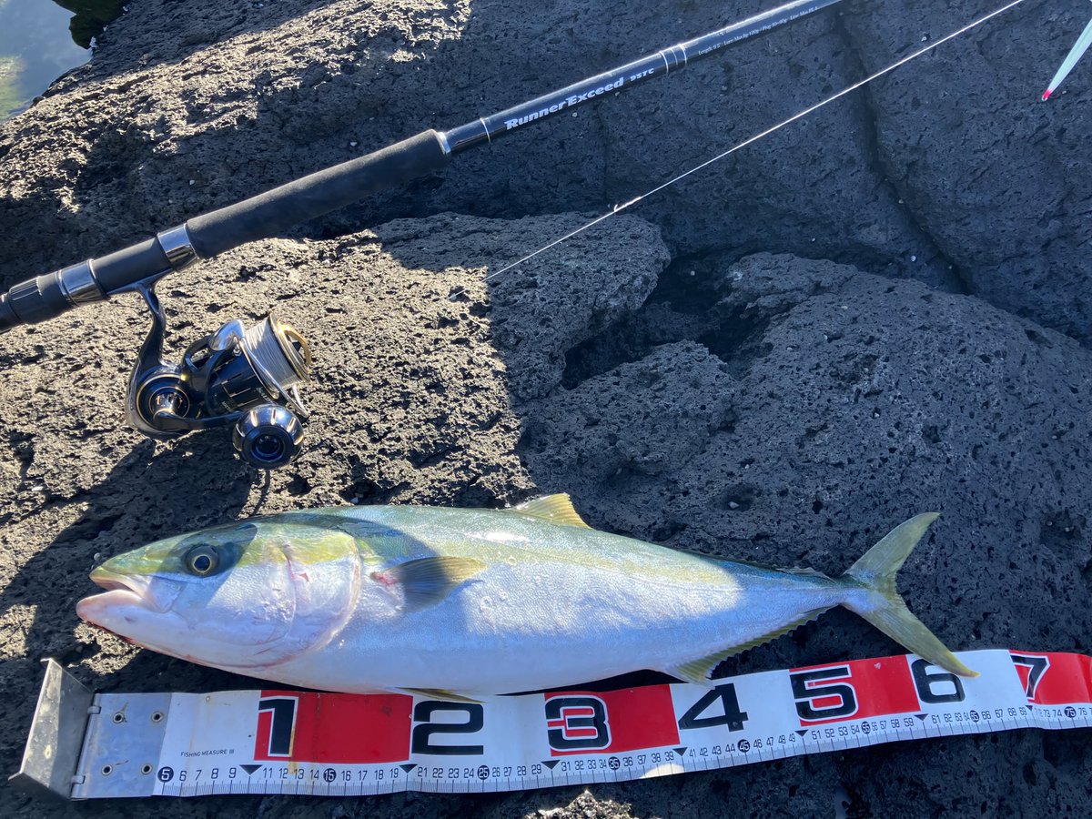 hishing_14's tweet image. 通い慣れた地磯へ

ヤズくんありがとう✨

#RippleFisher
#RunnerExceed
#95TC
#23ソルティガ6000XH