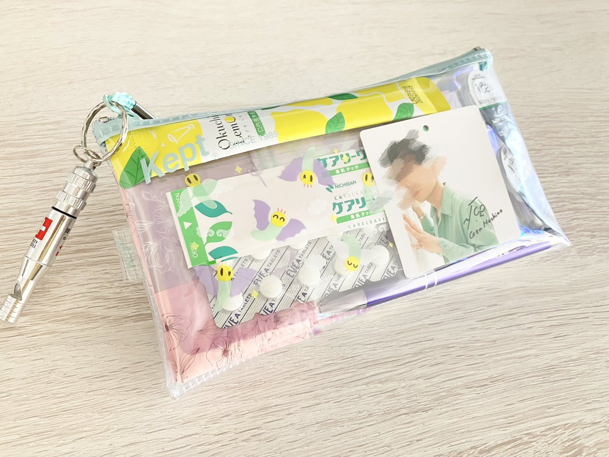 unnatural_67's tweet photo. お守りとして防災ポーチ作りました
厚さ2.5cmに収まるのがポイント！！
キャンドゥで見つけたニャッキのジッパー袋のおかげで一気に色合いにまとまりが出て最高になった かわいい 推しも調和してる https://t.co/K2YYn4IyCu