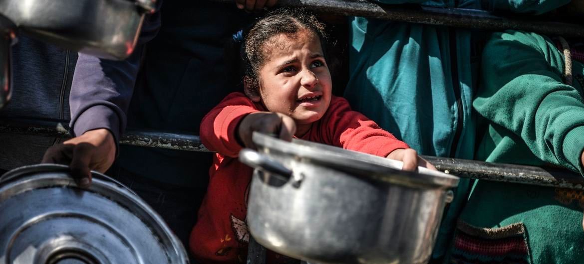 EveryoneAid's tweet photo. Urgent: Gaza's hunger crisis is alarming. Families seek food for children, while many lack shelter. Hundreds of thousands need essentials. The UN warns of malnourished children and half facing starvation. #GazaCrisis #HungerEmergency 🕊️ https://t.co/1cbTcEFtxE