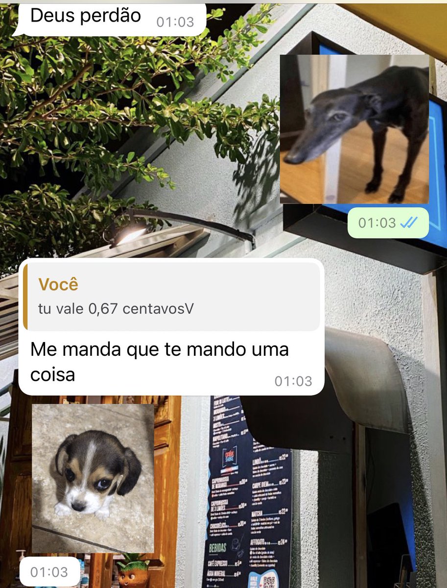 kcalzitos's tweet photo. quando vcs acharem que tão se humilhando por macho, lembrem que o meu ex ficante me vendeu foto do pau por 0,67 CENTAVOS https://t.co/3lFPrNm9gi