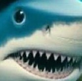 TheReview_PK's tweet photo. Parvez Khattak Sahb Mein Beqasoor Hu
#sharkshark
#InternetShutDow https://t.co/i2BslKVUzD