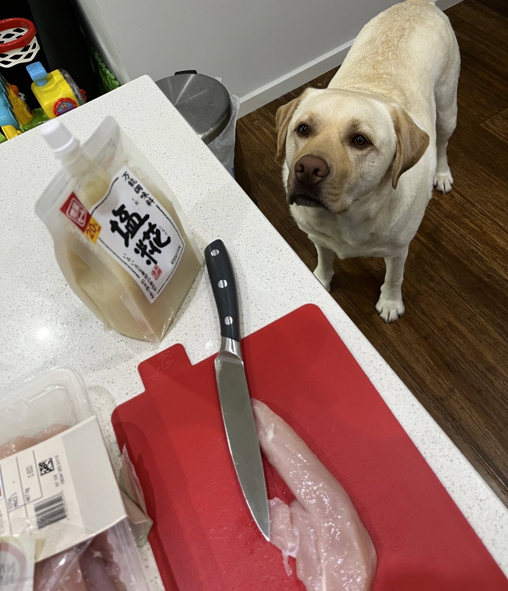 夕飯の仕込みを見にきた、たこちゃん