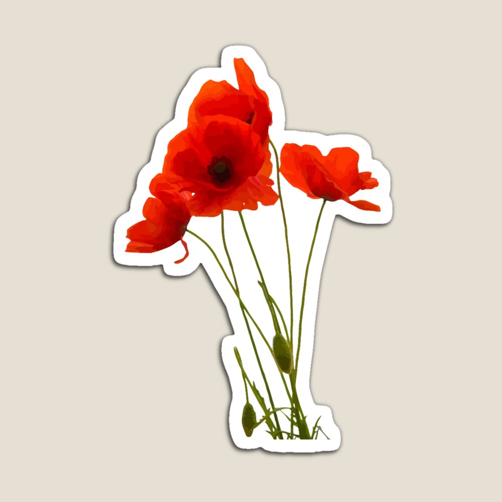 TaicheTees's tweet photo. #Apron Delicate Red Poppies Floral Bouquet by #taiche #Redbubble #poppyart #poppy #poppies #art #artist #painting #poppyflower #remembrance #poppyday #flowerart #red #homedecor #veterans #rememberenceday #weremember https://t.co/k7CkaMyi2t https://t.co/Cp0Iyuodmi