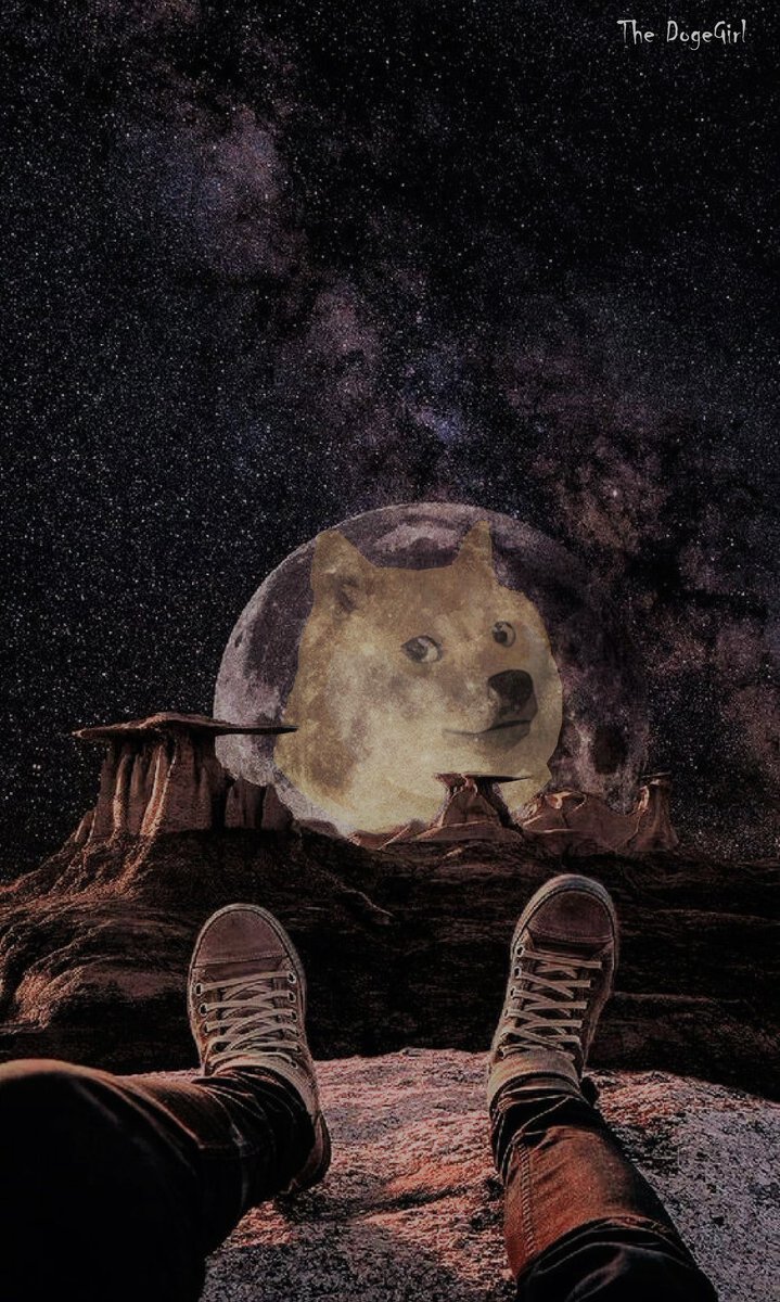 Catalina Andrade tweet media