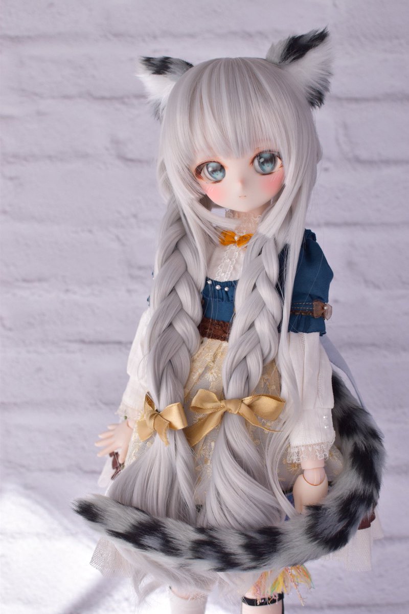 新年初カスタムの1番ちゃん🐈🌨️✨