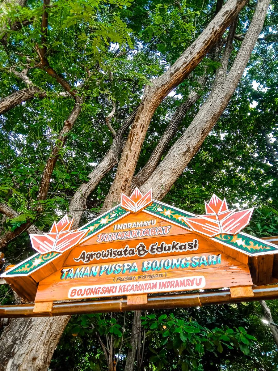 Kabupaten Indramayu tweet media