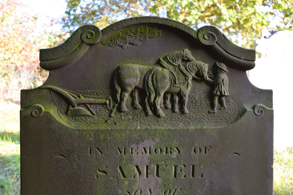 Today is Plough Monday, by tradition the start of the farming year, a day of significance in every rural community. This 1849 headstone for 21 year old Samuel Croft at Blyford, Suffolk has a relief of horses unharnessed from the plough, a symbol of his labours being over.