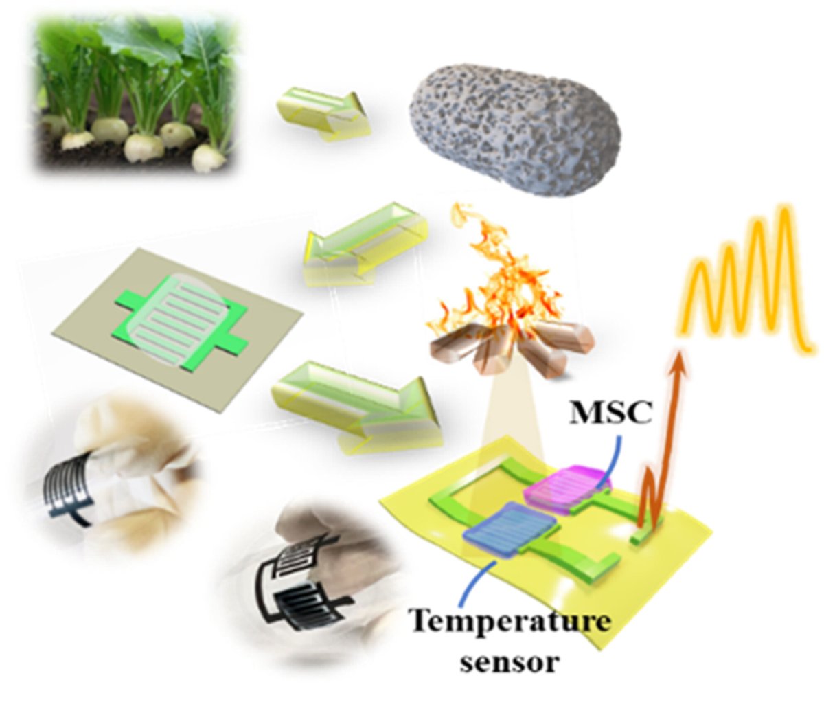 High-Performance and Flexible Co-Planar Integrated Microsystem of Carbon-Based All-Solid-State Micro-Supercapacitor and Real-Time Temperature Sensor.
Dongming Liu,  Jiaxin Ma,  Shuanghao Zheng,  Wenlong Shao,  Tianpeng Zhang,  Siyang Liu,
onlinelibrary.wiley.com/doi/10.1002/ee…