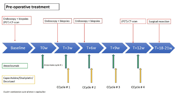 What a great start of 2024! Excited, happy and proud to share our latest work published today #openaccess @NatureMedicine on the PANDA trial: neoadjuvant atezo+chemo in pts with gastric/GEJ cancers followed by surgery. Some of the key findings below. 1/10 nature.com/articles/s4159…