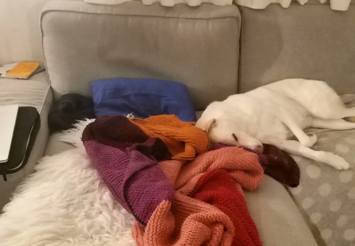 I started a series of #writingspots over on my IG account: favourites of mine and writer friends and strange locations #scifi characters might find themselves in having to write. Fun for adventurous brain cells 😁.
#WritingCommunity #5amwritersclub #SFF #scifi #softscifi