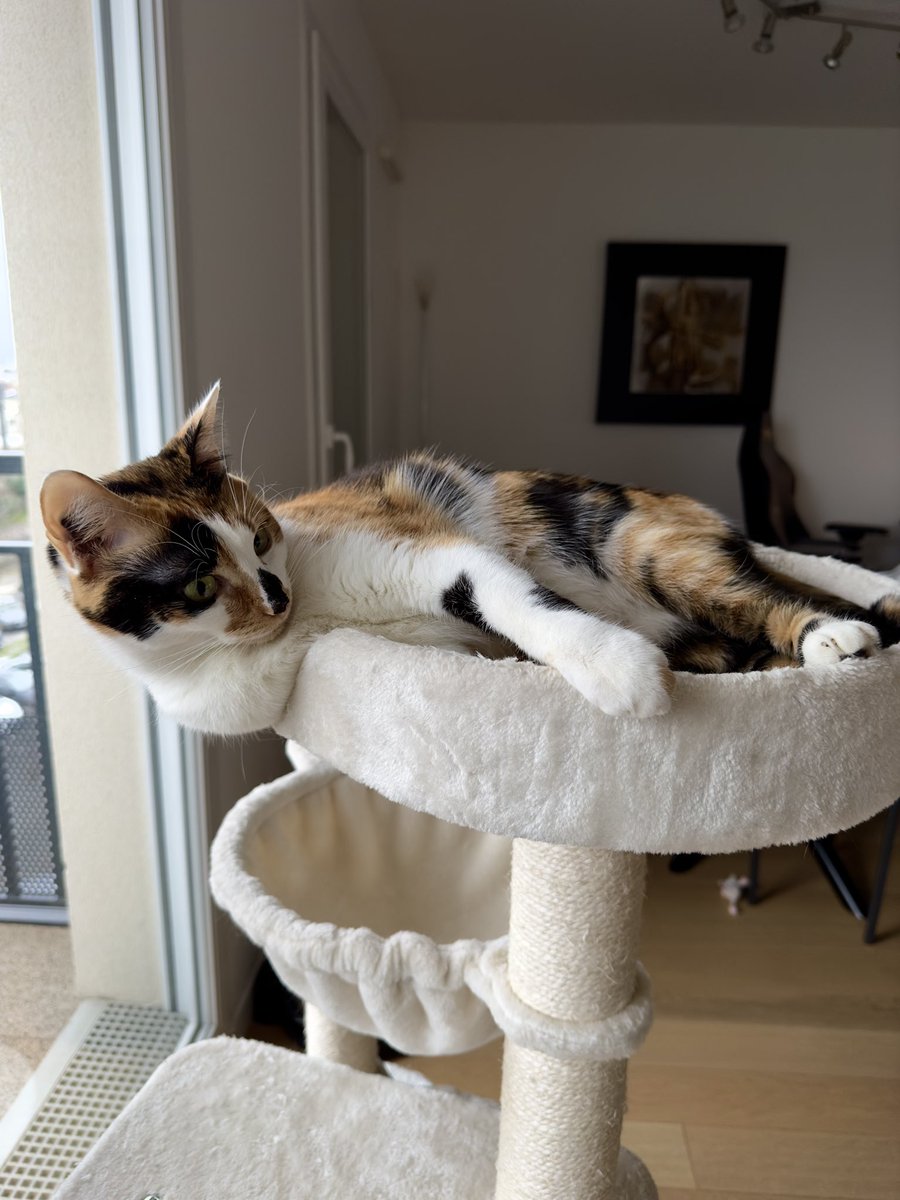 Margotte De Valdoisie tweet media