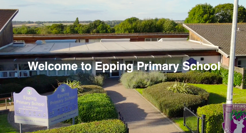 Epping Primary tweet media