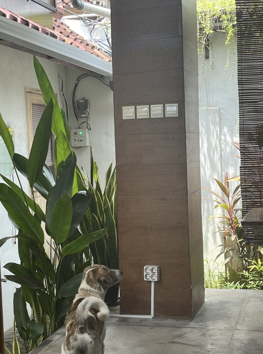 Lydia Melvin ✨ tweet media