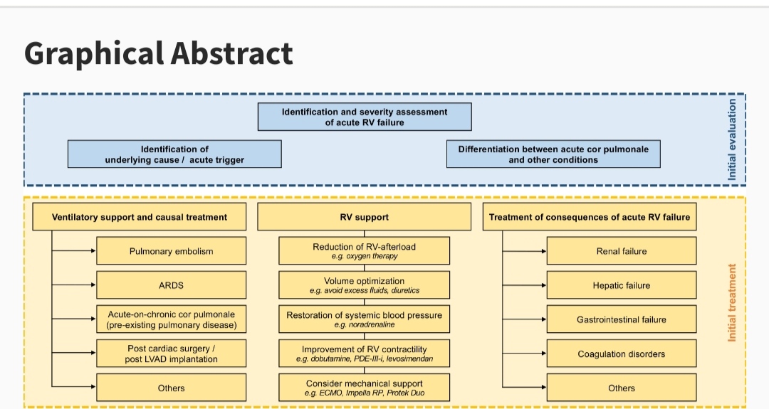 A clinical consensus statement from #ACVC_ESC just published- focus on contemporary management of acute cor pulmonale
Strong multidisciplinary team = better outcomes bit.ly/3NTDisc #EHJACVC

@susannaprice @HannahSchaubro1 @AlexMebazaa @EHJACVCEiC @drmilica @maria_bergami