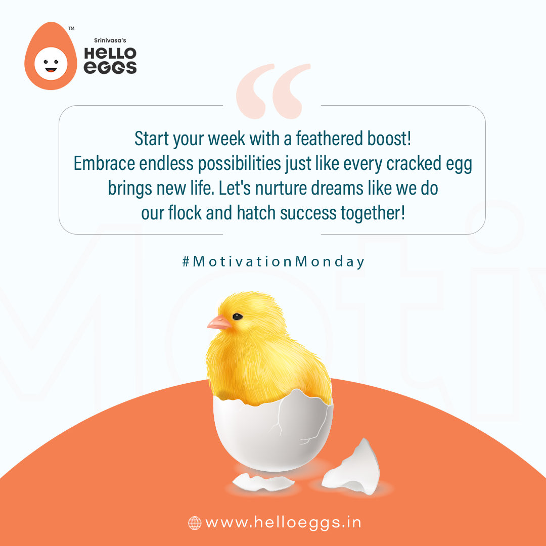 Start your week with a feathered boost! 

Embrace ehelloeggsssibilities just like every cracked egg brings new life. Let's nurture dreams like we do our flock and hatch success together! 

#motivationmonday #SrinivasaFarms #PoultryIndustry #helloeggs