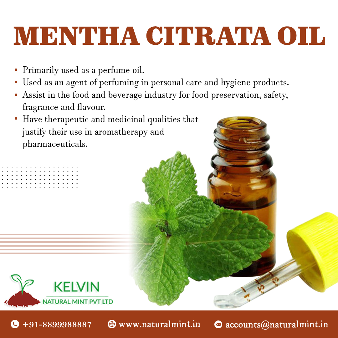 KelvinNatural's tweet photo. ✨🍃 Indulge in the extraordinary allure of Mentha Citrata Oil! 🌿 - @KelvinNatural

📲: +91-8899988887
🌐: https://t.co/hf2misCsmG
📧: accounts@naturalmint.in

#KelvinNaturalMint #MenthaMagic #FlavorfulFragrance #SensoryDelight #CulinaryEssence #GourmetExperience https://t.co/BH5GWokpFA