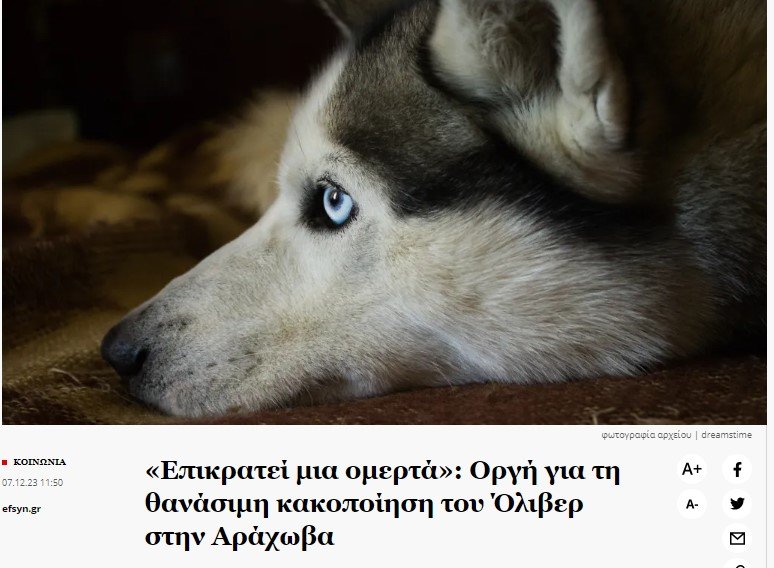 Christinalirou2's tweet photo. 40η ημέρα από τον βίαιο θάνατο σου είμαστε εδώ κ απαιτούμε την δικαίωση σου με την σύλληψη του ΒΙΑΣΤΗ ΔΟΛΟΦΟΝΟΥ του #Ολιβερ #ΑΡΑΧΟΒΑ https://t.co/3QvJ5UvjIi