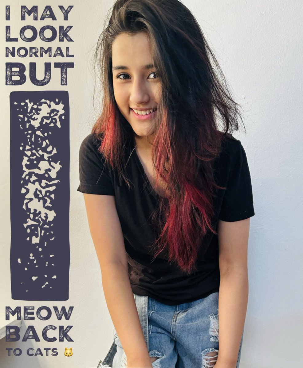 It’s kinda normal.. isn’t it 🤷‍♀️🐱
#normal #catlover #beingwhoiam