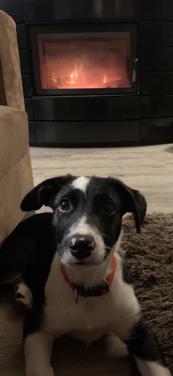 Bonne semaine à tous 🥶 !!