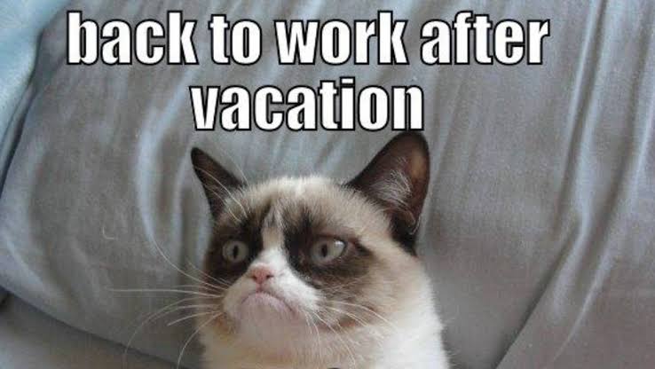 People_grid's tweet photo. POV: The holidays are over
#Mondayvibes #mood #GoldenGlobes #memes #hr https://t.co/XMkD9IKDqc
